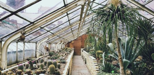 serre de jardin